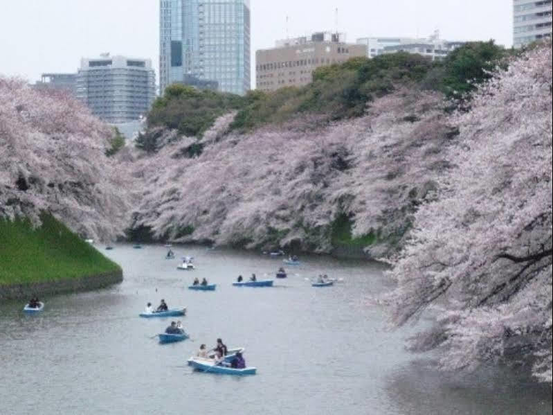 Shonan Kamakura Crystal Hotel Fujisawa Ngoại thất bức ảnh